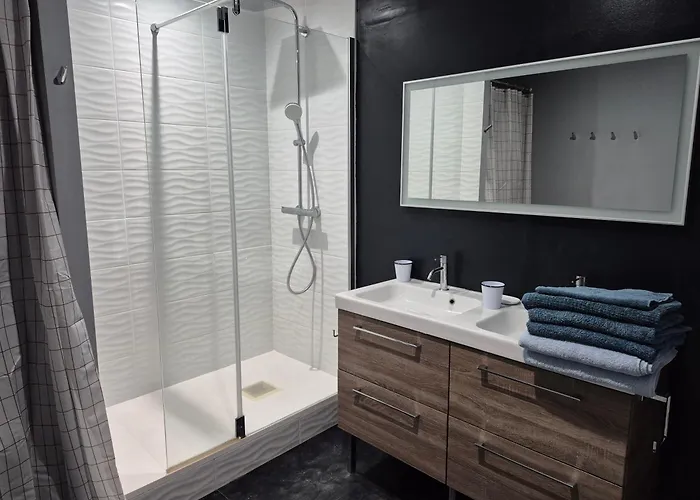 公寓 Flower, 3 P, Wifi, Hyper-center, Equipped Kitchen